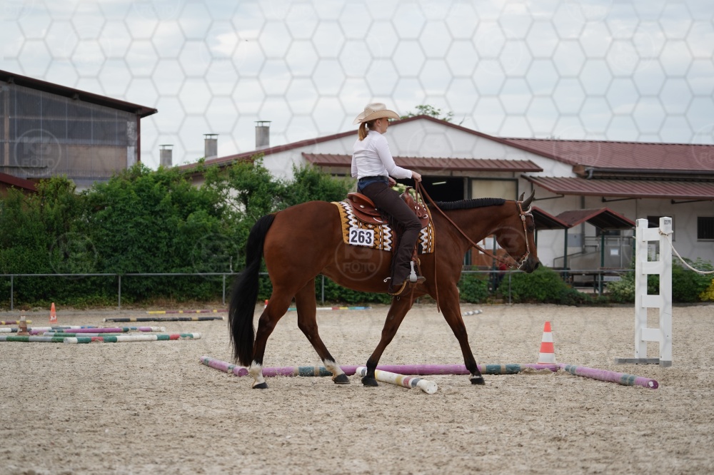 s_A9_05617.jpg
